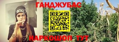 СК Конаково