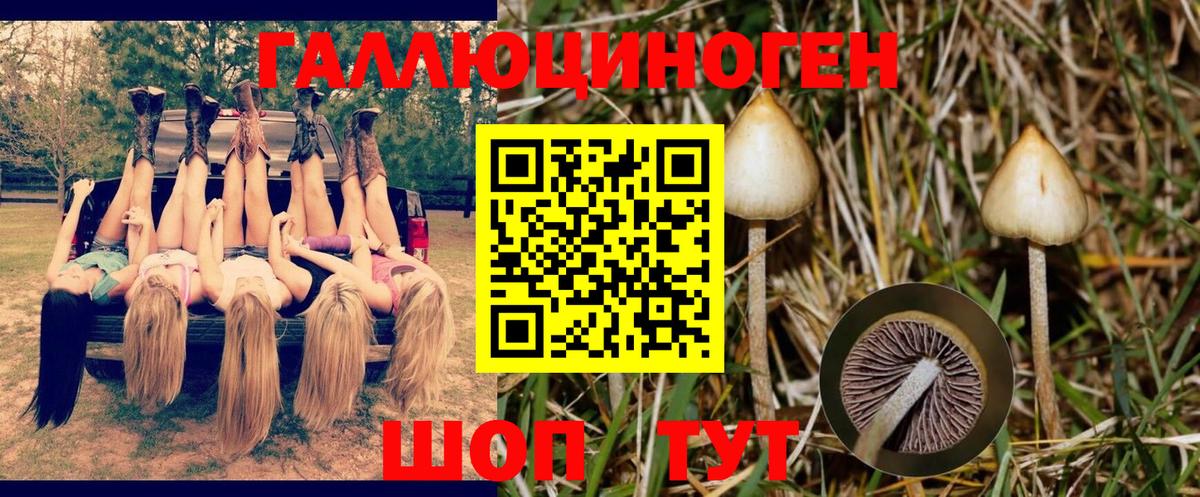 Псилоцибиновые грибы прущие грибы  Вход с VPN  Псилоцибиновые грибы Magic Shrooms  Алапаевск 